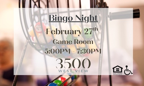 Bingo Night