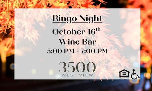 BINGO Night