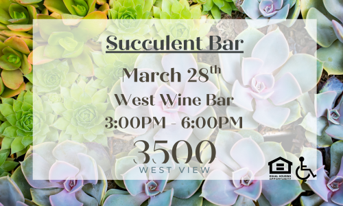 Succulent Bar Cover Image